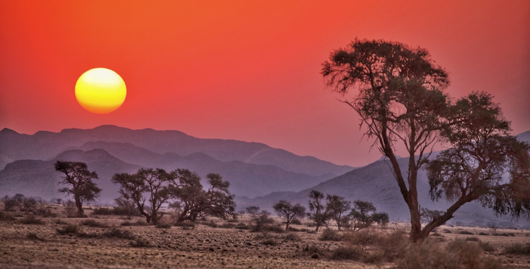 Photo African sunset